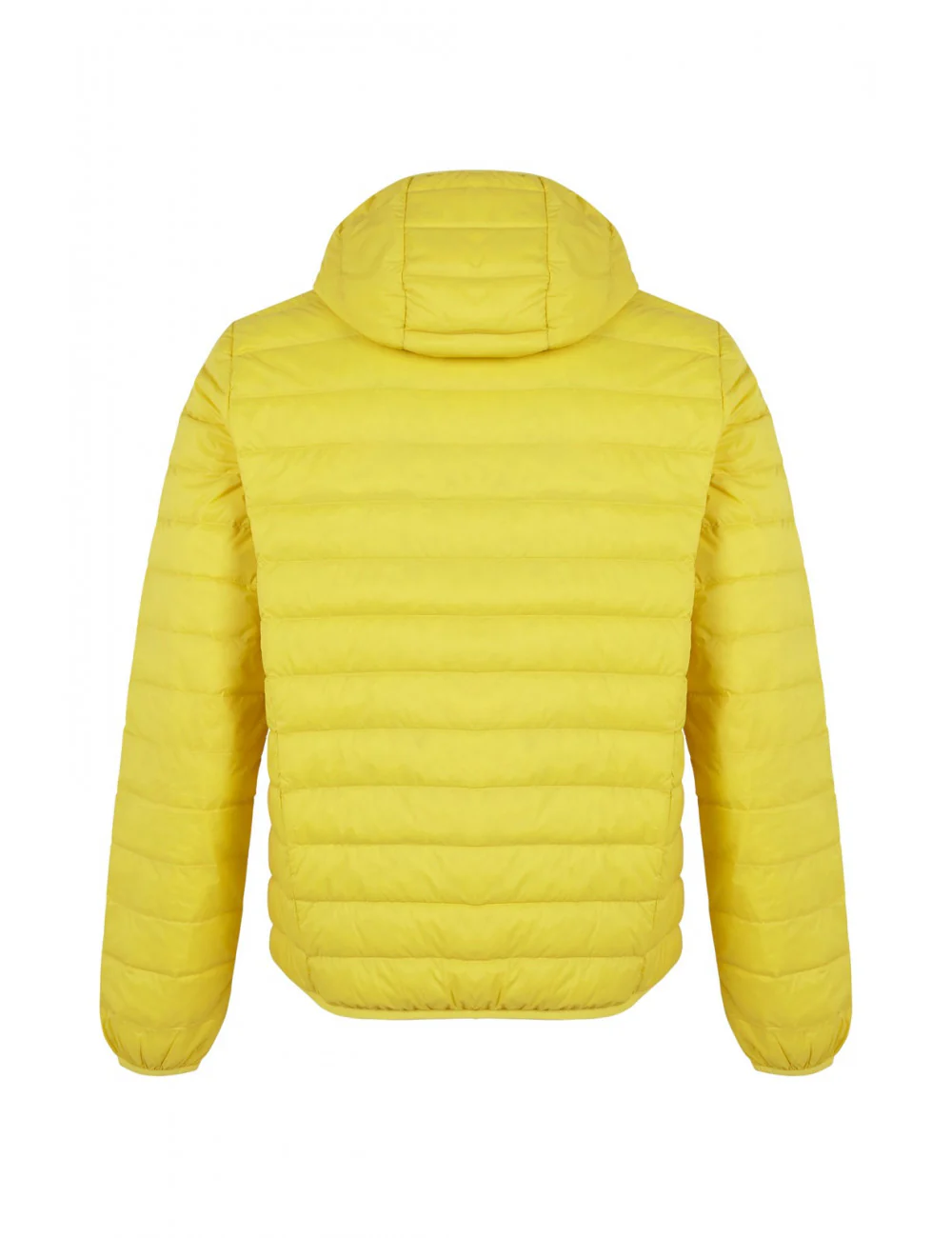 Plumas capucha amarillo - Image 2